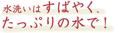 水洗いはすばやく、たっぷりの水で！